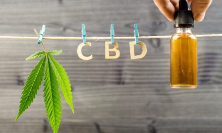 meilleur Grossiste CBD