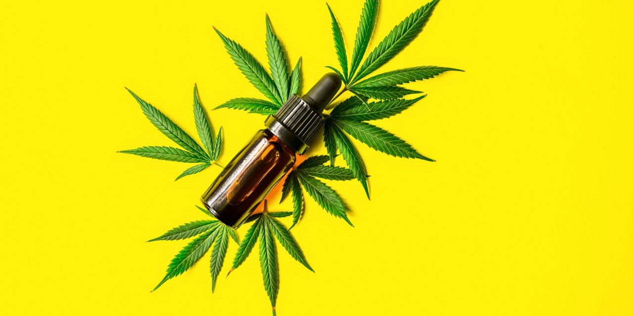 comment bien choisir son huile de cbd