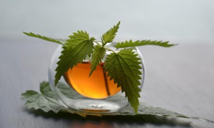 La tisane de CBD : 5 faits étonnants sur la boisson aux milles vertus