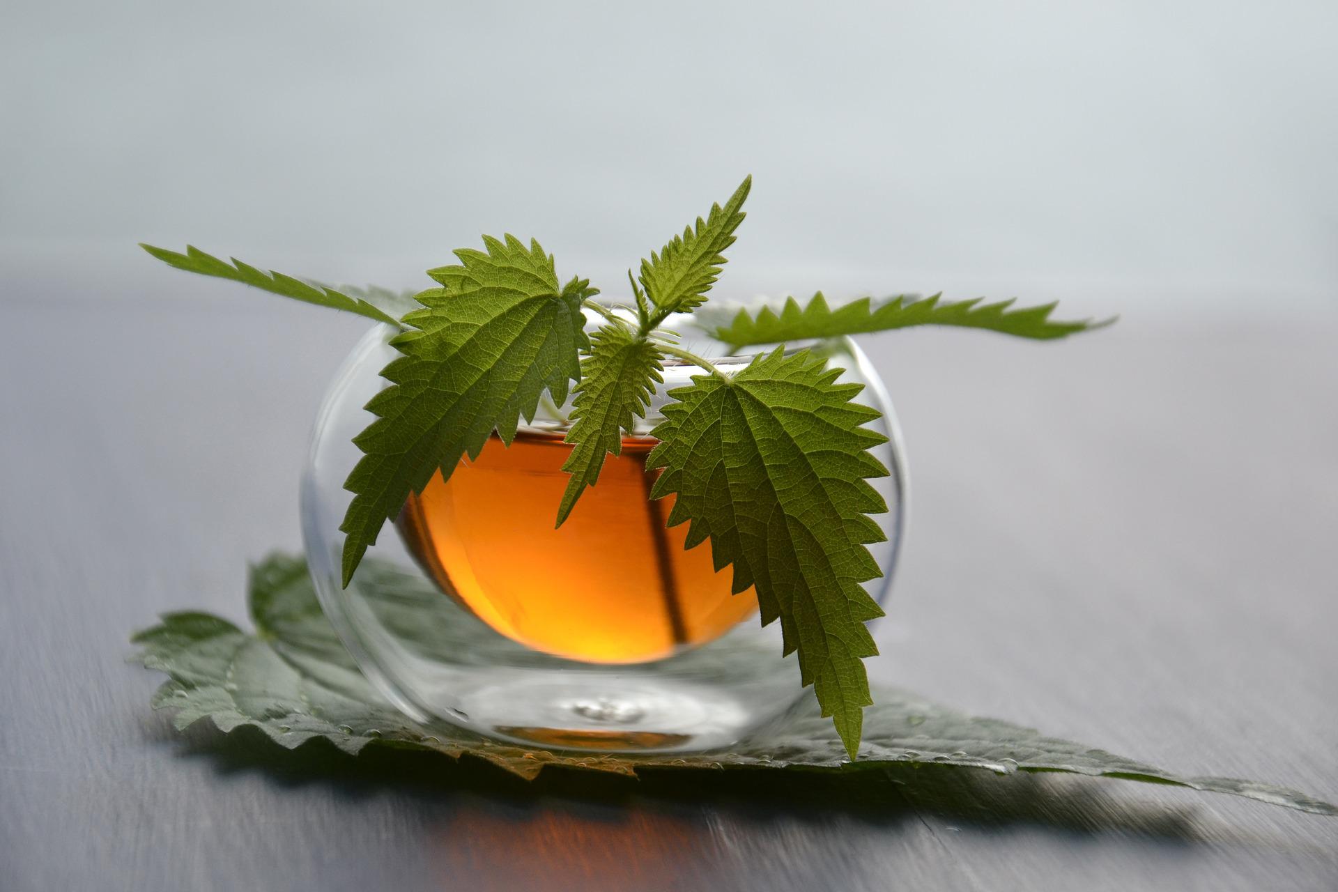 Pourquoi consommer une tisane au CBD — free download